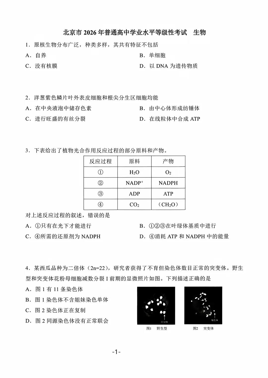2026年北京高考生物真题(含参考答案)-第1张图片-四季读书网