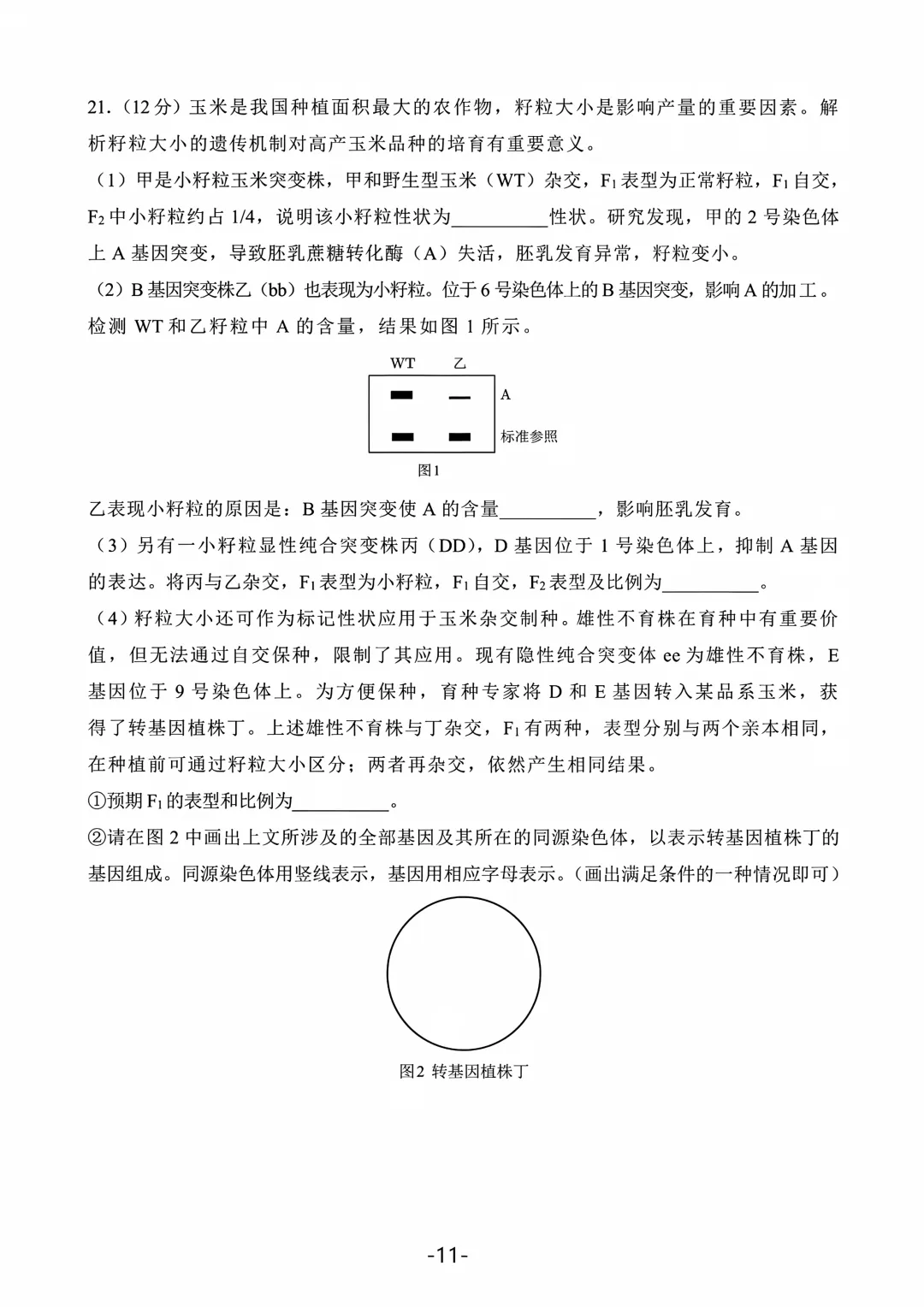 2026年北京高考生物真题(含参考答案)-第11张图片-四季读书网