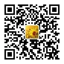 2026年河南中考作文《这是____的事儿》审题指导及范文示例-第11张图片-四季读书网 2026年河南中考作文《这是____的事儿》审题指导及范文示例-第11张图片-四季读书网