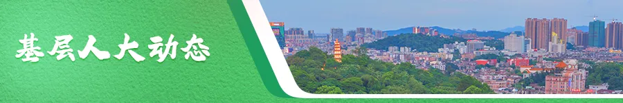 今起填报!事关中山中考录取,最新提醒!-第14张图片-四季读书网 今起填报!事关中山中考录取,最新提醒!-第14张图片-四季读书网