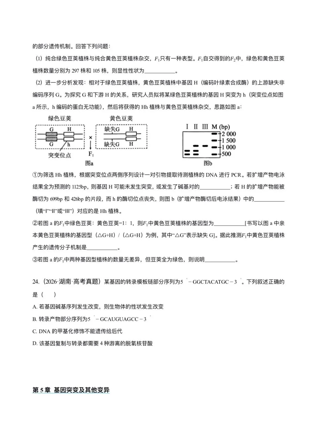 湖南省近6年高考生物真题汇编-必修2遗传与进化(含题目和解析)-第11张图片-四季读书网 湖南省近6年高考生物真题汇编-必修2遗传与进化(含题目和解析)-第11张图片-四季读书网