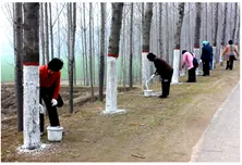 【试卷分享】高一地理100题(含解析)-第11张图片-四季读书网 【试卷分享】高一地理100题(含解析)-第11张图片-四季读书网