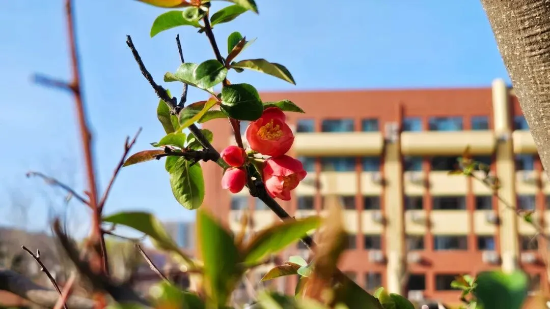 中考落榜别迷茫!趁中职补录窗口期,来青岛中工高级技工学校实地择校-第5张图片-四季读书网 中考落榜别迷茫!趁中职补录窗口期,来青岛中工高级技工学校实地择校-第5张图片-四季读书网