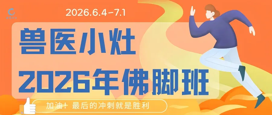 小灶2026真题解析课火热报名中!-第2张图片-四季读书网