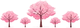 忻州市2025年初中学业水平考试(中考)及高中阶段教育学校招生问题解答-第2张图片-四季读书网 忻州市2025年初中学业水平考试(中考)及高中阶段教育学校招生问题解答-第2张图片-四季读书网