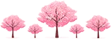 教育在线 | 刚刚!忻州市2023年中考成绩分段统计表公布!-第2张图片-四季读书网