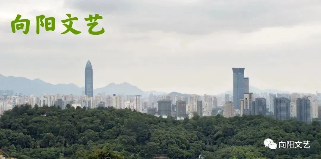 散文‖叶 文:人生的模拟考试-第2张图片-四季读书网 散文‖叶 文:人生的模拟考试-第2张图片-四季读书网