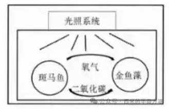 2026年深圳市语文中考试题及答案-第2张图片-四季读书网