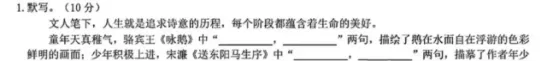 写在亳州2026年中考放榜后-第2张图片-四季读书网