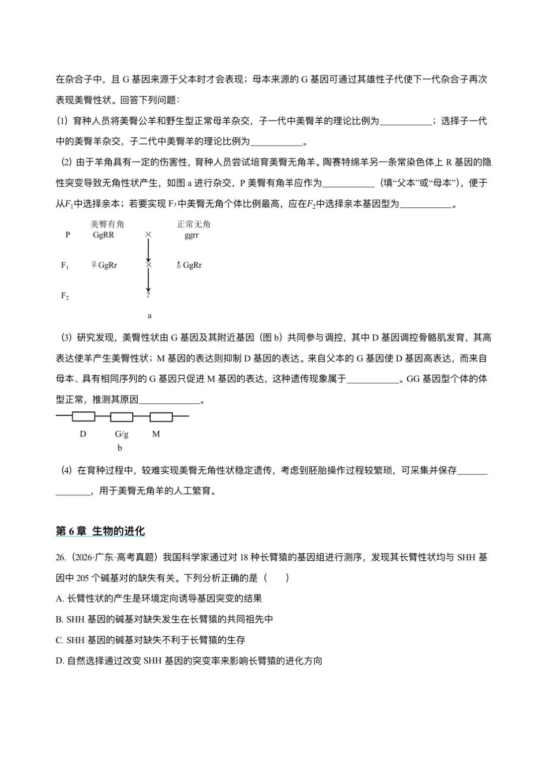 广东省近6年高考生物真题汇编-必修2遗传与进化(含题目和解析)-第13张图片-四季读书网 广东省近6年高考生物真题汇编-必修2遗传与进化(含题目和解析)-第13张图片-四季读书网