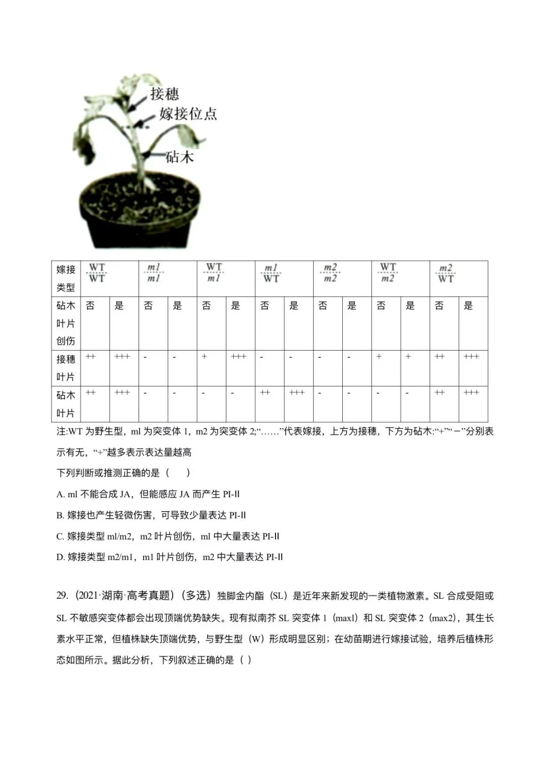 湖南省近6年高考生物真题汇编-选修1稳态与调节(含题目和解析)-第14张图片-四季读书网