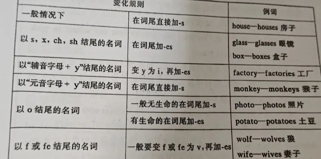 中考英语之名词-第1张图片-四季读书网