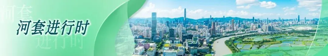 刚刚,深圳中考第二批录取分数线出炉!-第29张图片-四季读书网 刚刚,深圳中考第二批录取分数线出炉!-第29张图片-四季读书网