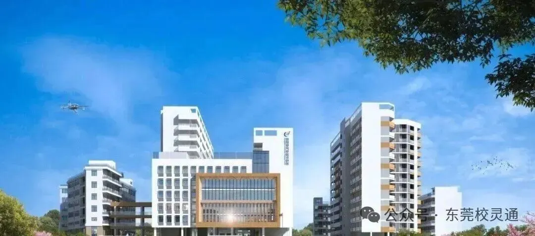 2026年东莞中考新赛道:读公办职校,一样可以圆梦大学|东莞市汽车技术学校-第12张图片-四季读书网