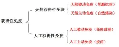 真题分享 | 执兽考试易错题之微生物与免疫部分篇(四)-第4张图片-四季读书网 真题分享 | 执兽考试易错题之微生物与免疫部分篇(四)-第4张图片-四季读书网