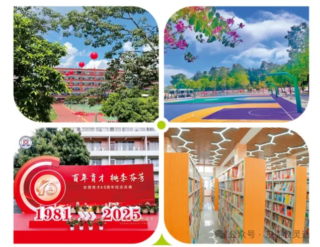 2026年东莞中考新赛道:读公办职校,一样可以圆梦大学|东莞市育才职业技术学校-第23张图片-四季读书网 2026年东莞中考新赛道:读公办职校,一样可以圆梦大学|东莞市育才职业技术学校-第23张图片-四季读书网