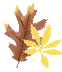 2026年东莞中考新赛道:读职校,一样可以圆梦大学|东莞市中德技工学校-第16张图片-四季读书网 2026年东莞中考新赛道:读职校,一样可以圆梦大学|东莞市中德技工学校-第16张图片-四季读书网