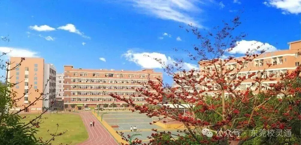 2026年东莞中考新赛道:读公办职校,一样可以圆梦大学|东莞市育才职业技术学校-第24张图片-四季读书网 2026年东莞中考新赛道:读公办职校,一样可以圆梦大学|东莞市育才职业技术学校-第24张图片-四季读书网