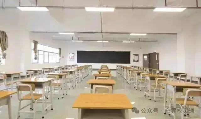 2026年东莞中考新赛道:读公办职校,一样可以圆梦大学|东莞市育才职业技术学校-第25张图片-四季读书网 2026年东莞中考新赛道:读公办职校,一样可以圆梦大学|东莞市育才职业技术学校-第25张图片-四季读书网