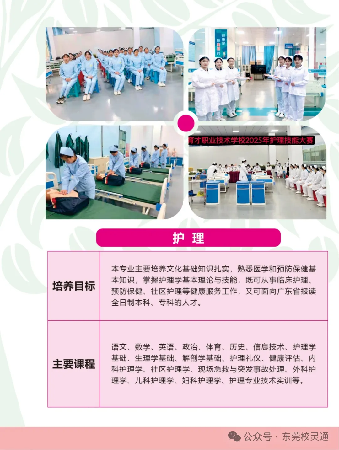 2026年东莞中考新赛道:读公办职校,一样可以圆梦大学|东莞市育才职业技术学校-第29张图片-四季读书网 2026年东莞中考新赛道:读公办职校,一样可以圆梦大学|东莞市育才职业技术学校-第29张图片-四季读书网