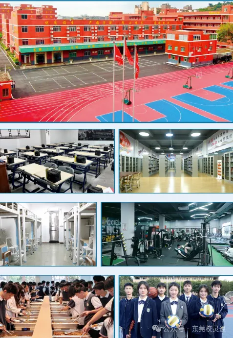 2026年东莞中考新赛道:读职校,一样可以圆梦大学|东莞市中德技工学校-第25张图片-四季读书网 2026年东莞中考新赛道:读职校,一样可以圆梦大学|东莞市中德技工学校-第25张图片-四季读书网