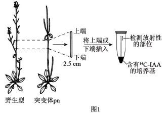 26真题‖北京市2026年普通高中学业水平等级性考试生物【卷后附网络版参考答案】-第5张图片-四季读书网