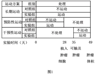 26真题‖北京市2026年普通高中学业水平等级性考试生物【卷后附网络版参考答案】-第7张图片-四季读书网