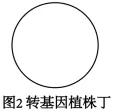 26真题‖北京市2026年普通高中学业水平等级性考试生物【卷后附网络版参考答案】-第11张图片-四季读书网