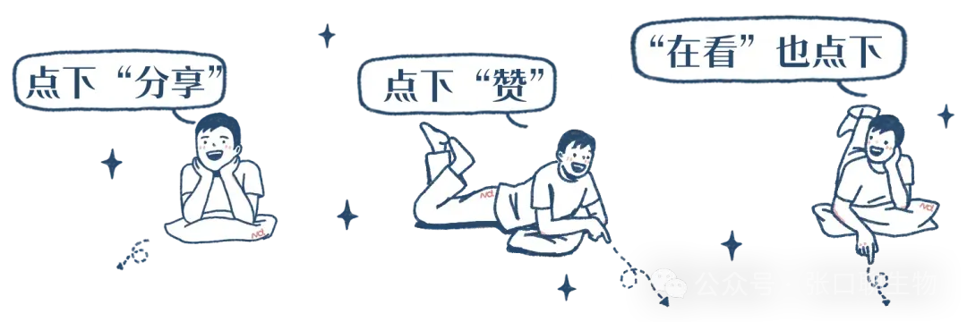 26真题‖北京市2026年普通高中学业水平等级性考试生物【卷后附网络版参考答案】-第14张图片-四季读书网