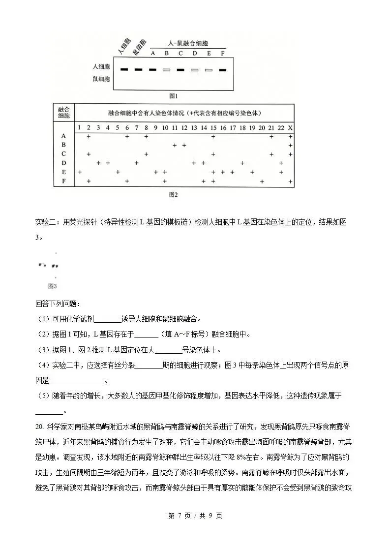 2026年高考生物湖北卷省真题答案试卷解析新夏季学业水平选择性考试-第5张图片-四季读书网 2026年高考生物湖北卷省真题答案试卷解析新夏季学业水平选择性考试-第5张图片-四季读书网