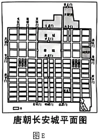 2026年陕西中考历史试卷(WORD整理版)-第7张图片-四季读书网