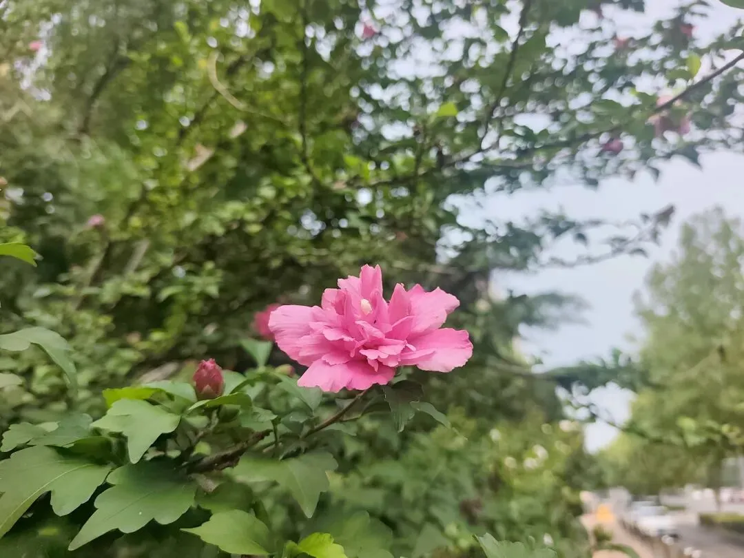 中考高中学校报道,学生的心思我别猜-第2张图片-四季读书网 中考高中学校报道,学生的心思我别猜-第2张图片-四季读书网