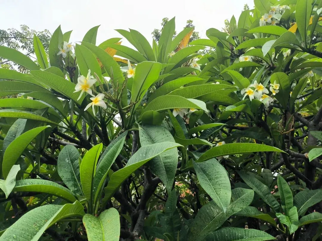 中考结束的暑假,到底要不要补课?很多家长选错了-第1张图片-四季读书网 中考结束的暑假,到底要不要补课?很多家长选错了-第1张图片-四季读书网