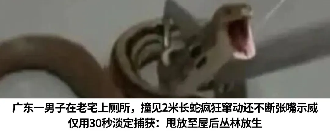 广州中考补录结果公布:铁一越秀补录最低录取分700分-第3张图片-四季读书网 广州中考补录结果公布:铁一越秀补录最低录取分700分-第3张图片-四季读书网