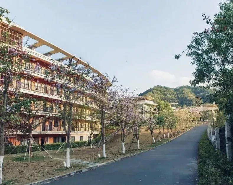2026 中考录取丨 中山市中等专业学校,国家重点,录取分数高-第27张图片-四季读书网 2026 中考录取丨 中山市中等专业学校,国家重点,录取分数高-第27张图片-四季读书网