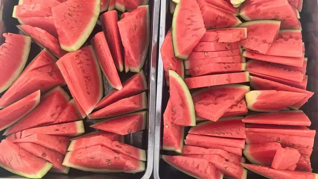 成功中考二校夏令营|这个暑假,这群少年悄悄完成了一场蜕变-第36张图片-四季读书网