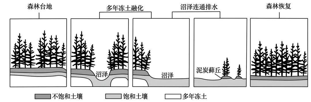 2026 年河南高考地理试卷-第9张图片-四季读书网