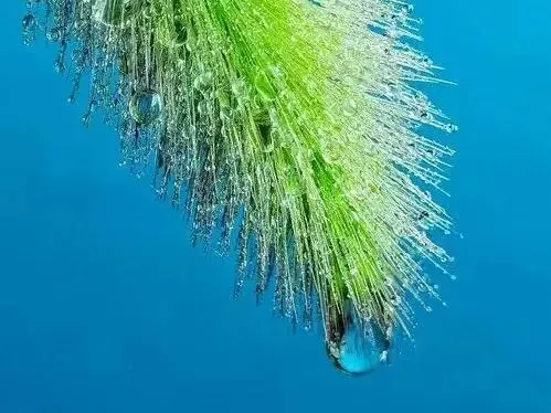 河北中考作文的底层内核:藏在考题里的立德树人育人逻辑-第5张图片-四季读书网