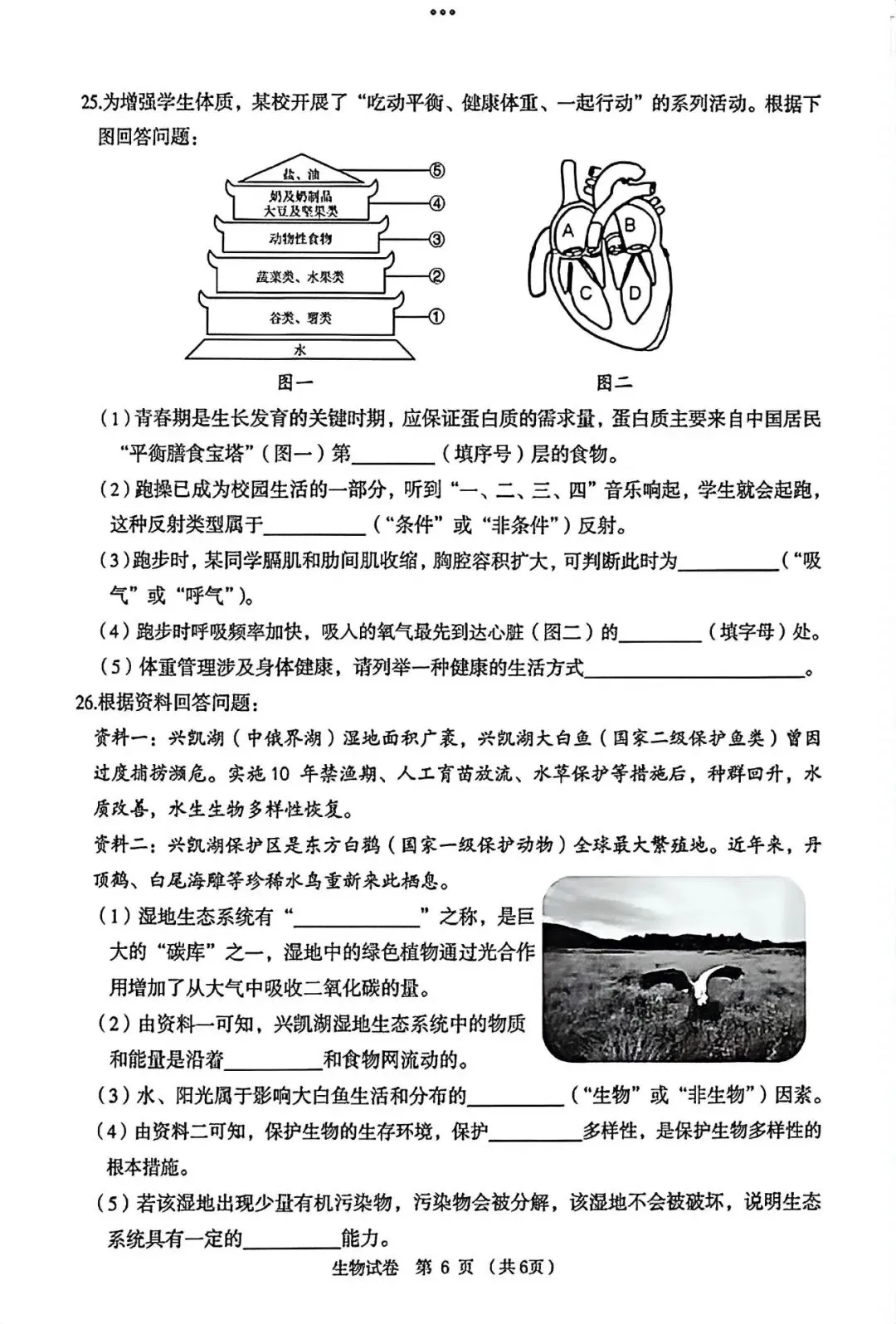2026龙东“中考”生物真题与答案-第6张图片-四季读书网