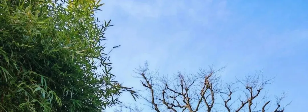 “爸,你送我试卷是几个意思?”丨微光小语-第5张图片-四季读书网