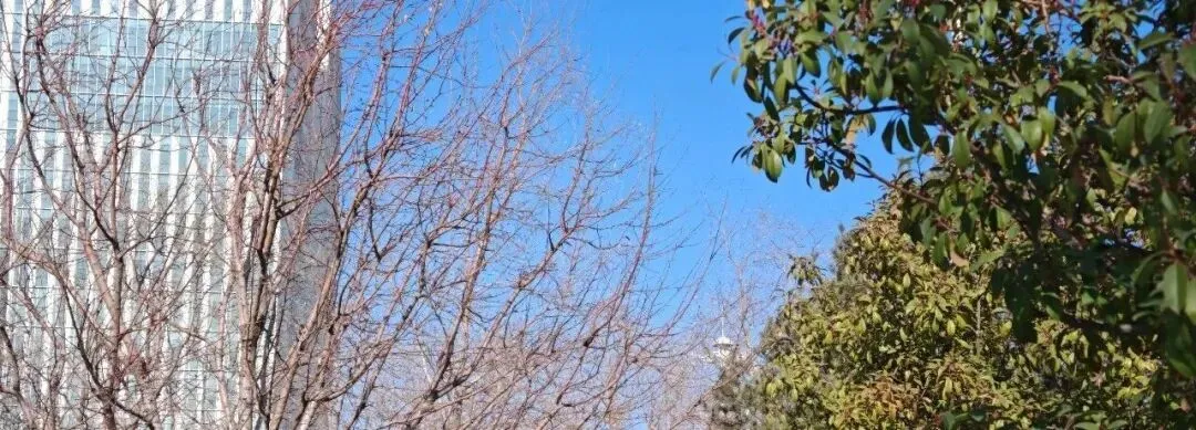 “爸,你送我试卷是几个意思?”丨微光小语-第6张图片-四季读书网