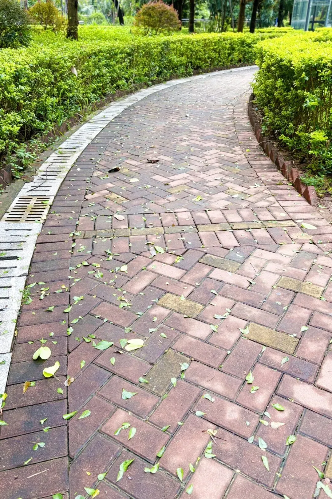 中考志愿滑档后,跑完5公里,我这个当妈的终于明白:人生没有最好的路,只有适合孩子的路-第3张图片-四季读书网