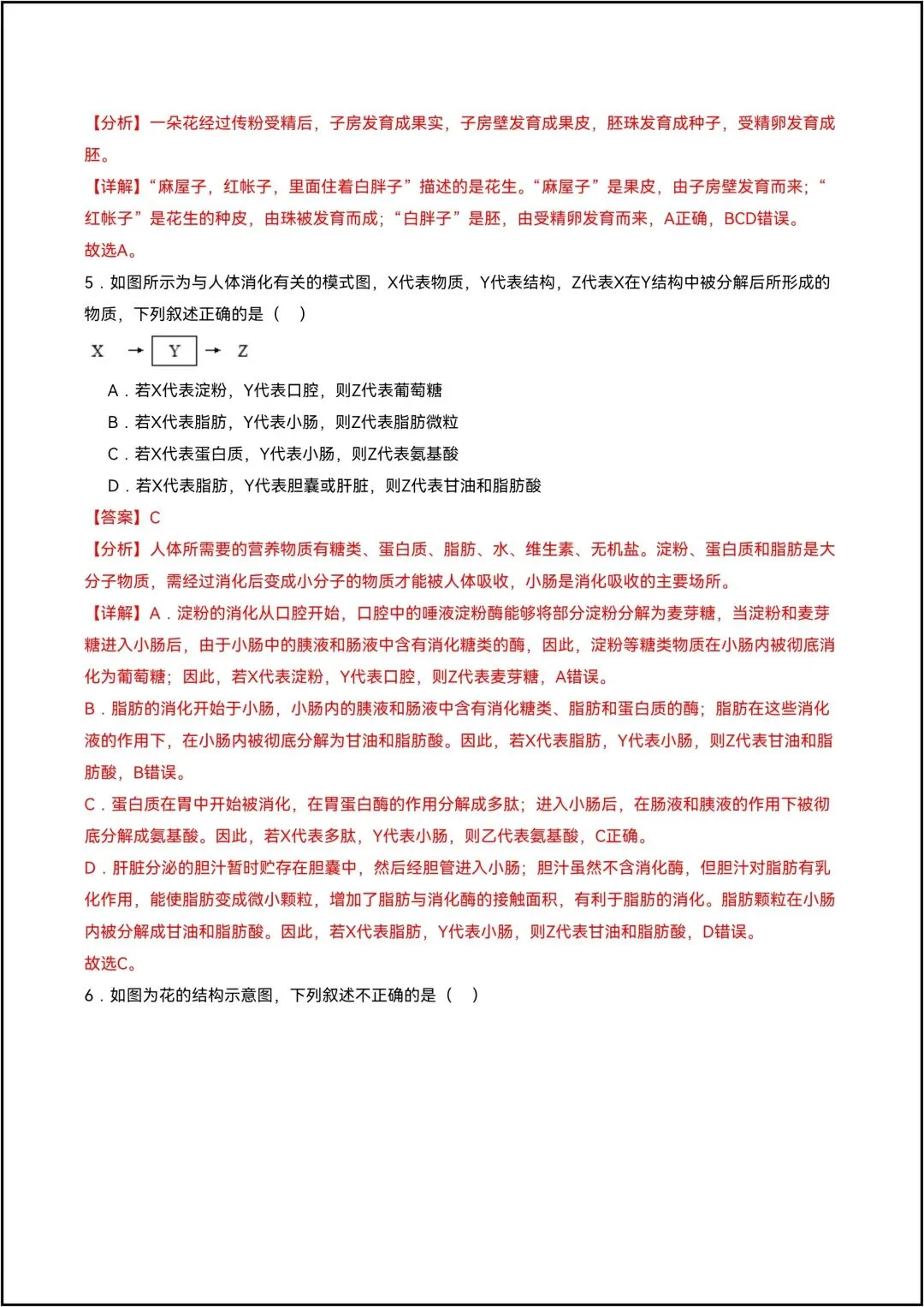 暑假预习——八年级上册生物摸底考试模拟卷02生物(解析版)共19页-第6张图片-四季读书网