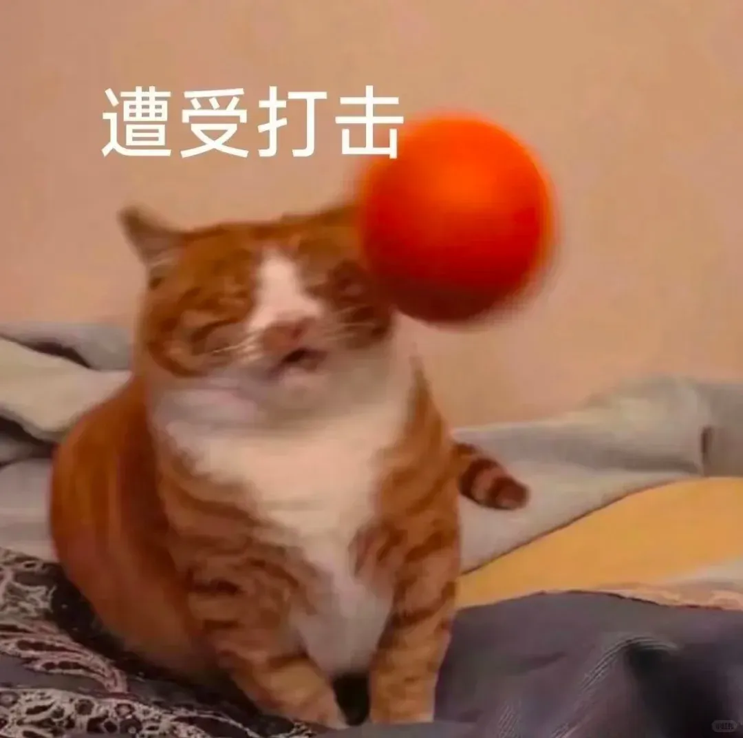 暑期模考阶段性复盘|看得见的提分进步,是备考最好的答案-第2张图片-四季读书网