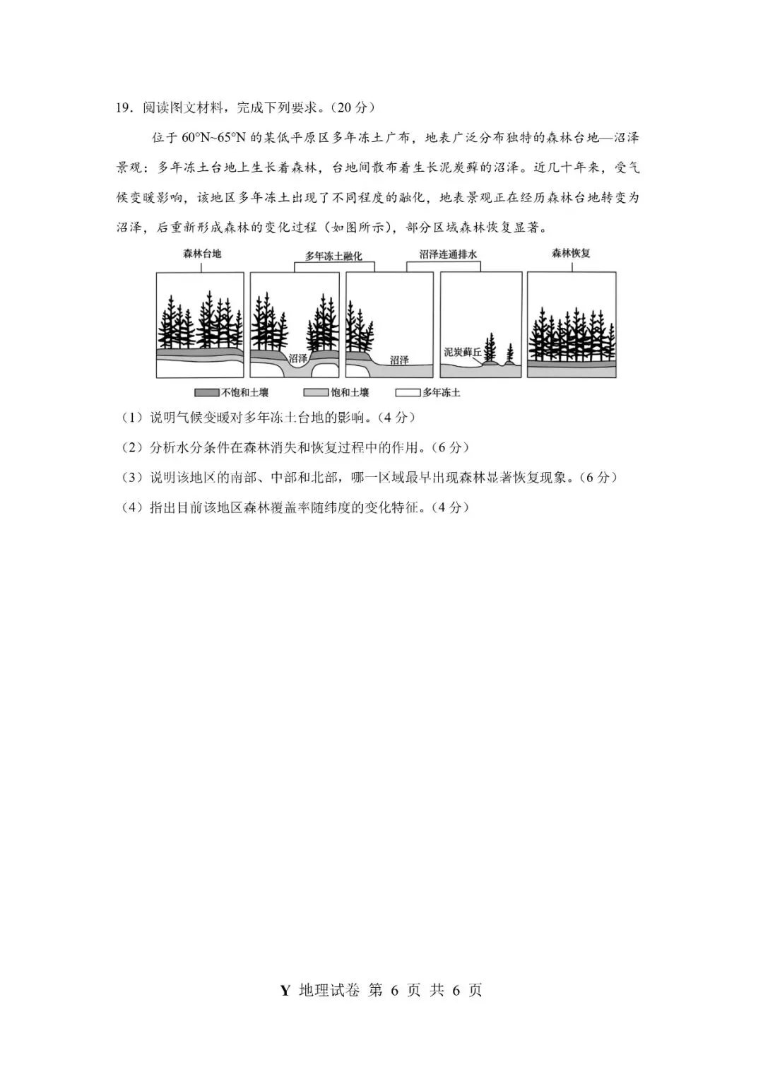 【2026河南真题】试卷与详解-第10张图片-四季读书网