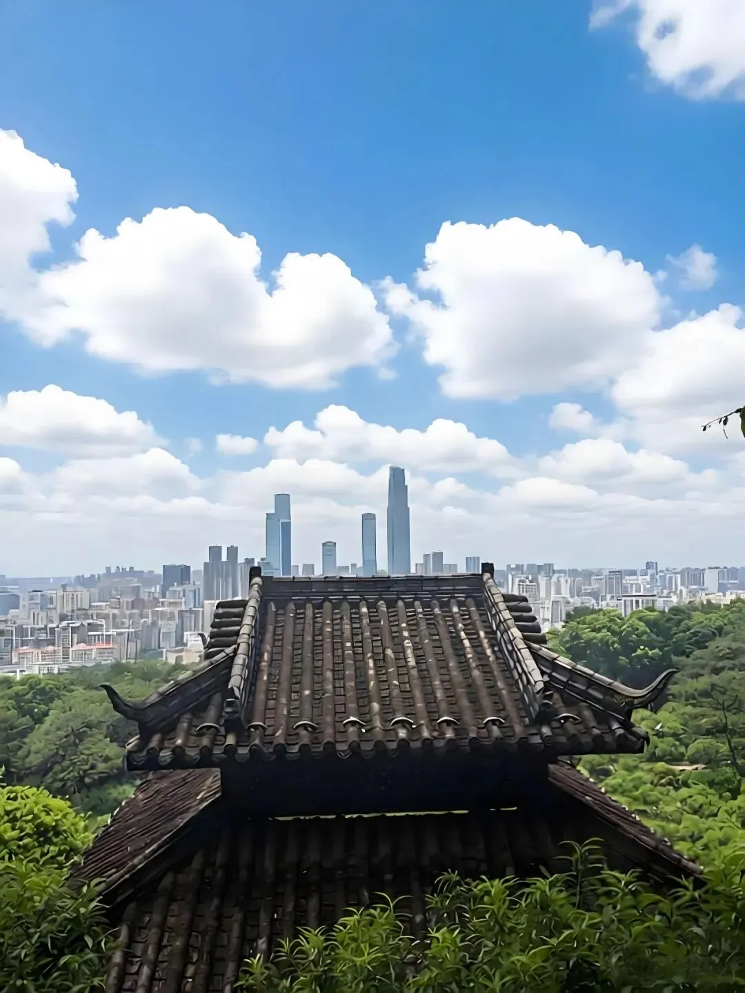 高考真题讲解合集:每日一题2025年广西卷讲解合集-第1张图片-四季读书网
