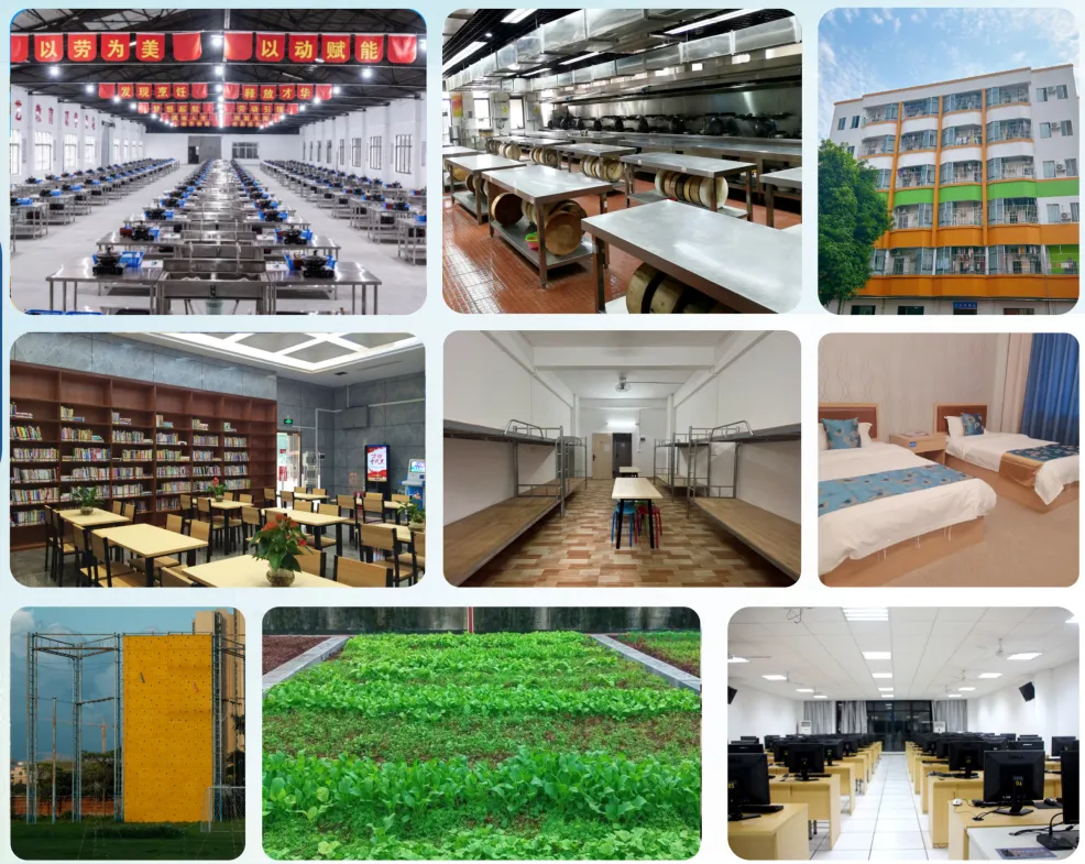2026年佛山中考择校 | 佛山市桂城技工学校(招生简章+校园环境)-第7张图片-四季读书网