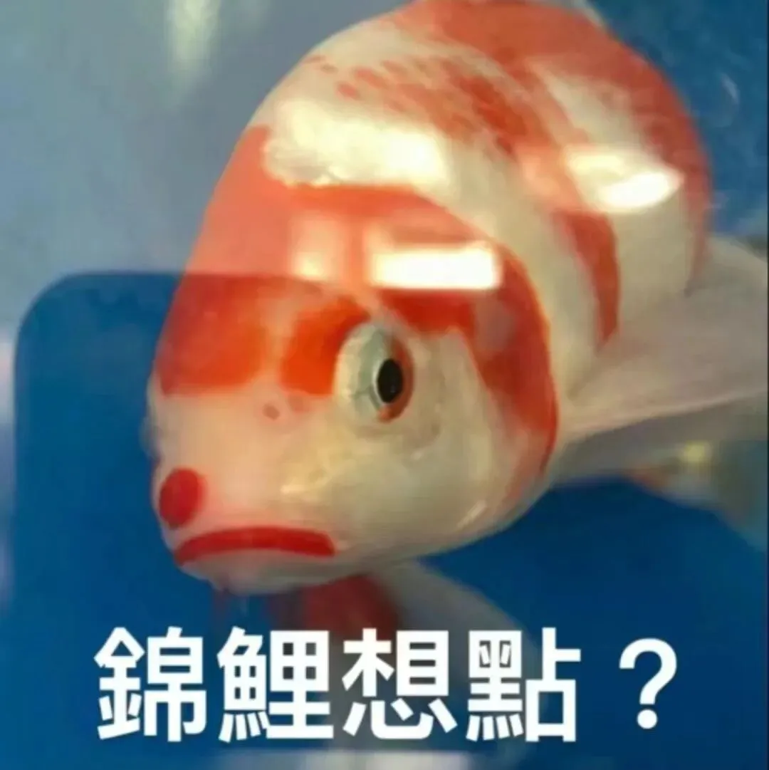 中考599分极限捡漏四中!-第2张图片-四季读书网