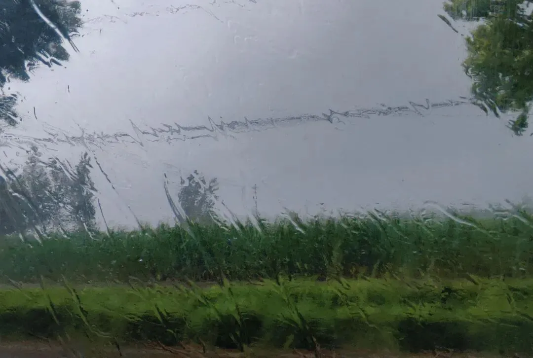 00后练科目二第十四天,去模拟考试遇到超大雨,困在模拟考场鞋子里全进水的抓马经历-第1张图片-四季读书网 00后练科目二第十四天,去模拟考试遇到超大雨,困在模拟考场鞋子里全进水的抓马经历-第1张图片-四季读书网