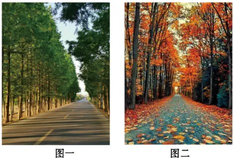 2026年重庆市中考语文试题及答案-第2张图片-四季读书网 2026年重庆市中考语文试题及答案-第2张图片-四季读书网